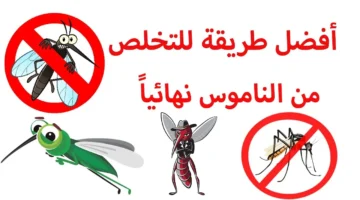 أسرار صادمة! 3 أسباب بتخلي البعوض يحبك أكتر من غيرك إعرف كيف تحمي نفسك بسهولة
